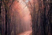 KAIYUAN：亚马尔本场4射2正进1球+1罚丢点球 6过人2成功 26丢失球权+3抢断.