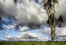 [德甲]门将犯规被判点 帕拉西奥斯点球扳回一城.